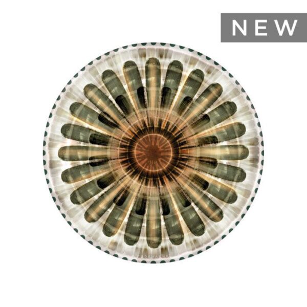 3664655436187-set-de-table-rond-podevache